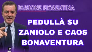 PEDULLÀ SUL MERCATO DELLA FIORENTINA DA ZANIOLO A LUCCA TUTTE LE ULTIME [upl. by Eiznek552]