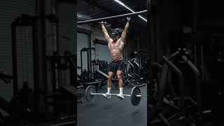 Hanging barbell core workout can you like this Dmkfitnesstube [upl. by Woothen]