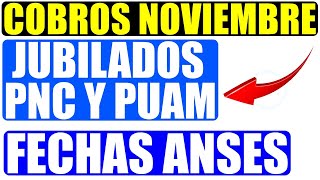 ✅ANSES confirma Fechas de Cobro de Noviembre 2023 para Jubilados Pensionados PNC y PUAM [upl. by Zeb586]