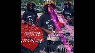 Nts Elbee  Success Slowedd [upl. by Ellienad]