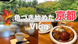 京都Vlog🍁紅葉が始まる庭園に癒される秋の京都！日帰り観光Vlogで巡るおすすめスポット [upl. by Stahl506]