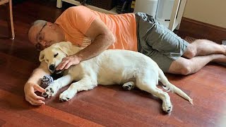 Dads Who Didn’t Want The Damn Dog In Their Lives 🤣 Funny Dog and Human [upl. by Boris]