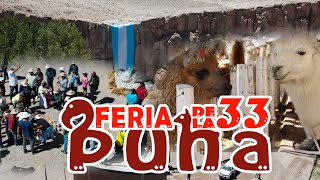 Resumen Feria de la Puna Edicion 33  2024 [upl. by Akirahc]