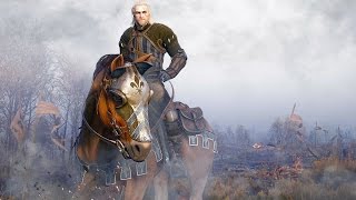 How to Unlock the Free Temerian Armor and Beard DLC  The Witcher 3 Wild Hunt [upl. by Ainav]