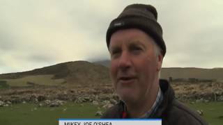 Irish Farmers Glorious Accent Is So Strong Here are the subtitles [upl. by Daub]