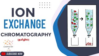 Ion Exchange Chromatography in Tamil  Cation exchange chromatography Anion exchange chromatography [upl. by Nyladam]