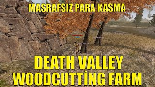 Rise Online Masrafsız Para Kasma  DV Woodcutting Farm [upl. by Johnstone]