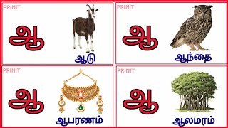 தமிழ்  உயிரெழுத்துக்கள்  ஆ  uyir eluthukkal in Tamilதமிழ் வார்த்தைகள்ஆதமிழ் சொற்கள்ஆ [upl. by Nerret426]