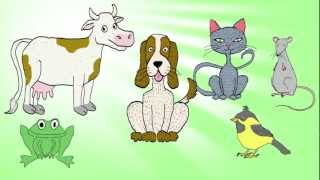 quotAnimal Waltzquot  a folk song to teach kids to count from 1 to 5  Little Blue Globe Band [upl. by Eves]