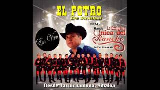 El Potro de Sinaloa ft Banda la Unica del Rancho en vivo 2016  Link de descarga MF [upl. by Karna]