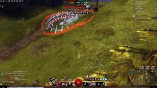 Gw2  WvW  Daredevil Vs Dragonhunter A Failed attempt [upl. by Liris]