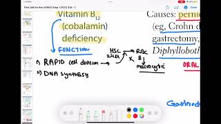 B12 deficiencyhaematology 39 First Aid USMLE Step 1 in UrduHindi [upl. by Esiuolyram]