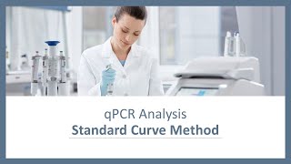 qPCR Analysis  Standard Curve Method [upl. by Doty]