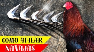 Como se afilan las navajas para gallos [upl. by Chaim]