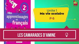 les camarades damine Mes apprentissages en français 2aep [upl. by Gert497]