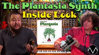 Rare Tour of Iconic quotPlantasia” Moog w Synth Guru Rob Rosen [upl. by Nnodnarb]