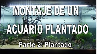 Evolución de un acuario plantado Montaje parte 2 Plantado [upl. by Sehguh670]