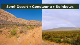 White Lion Lodge  Discovering Klein Karoo’s Wildlife and Prehistoric Gondwana landscape [upl. by Artkele]