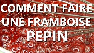 Comment faire une framboise pépin [upl. by Cawley]