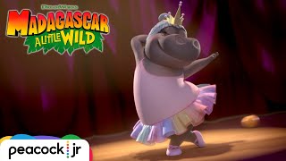 Glorias Hippo Ballet  MADAGASCAR A LITTLE WILD [upl. by Nywrad]