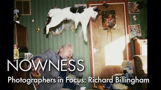 Photographers in Focus Richard Billingham [upl. by Aihsad]