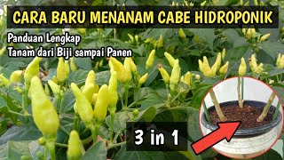 Cara Menanam Cabe Rawit dari Biji Sampai Panen Secara Hidroponik  Agar Cabai Berbuah Lebat [upl. by Ariak78]