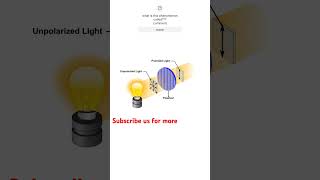 Polarization of light class12th physics maths physics shorts [upl. by Berkow]