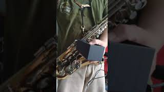 Theo wanne durga 4 test alto Saxophone [upl. by Nash]