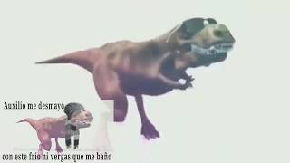 Dinosaurio bailando  auxilio me desmayo con este frío ni ver que me baño [upl. by Aihtnis]