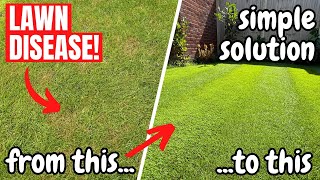 How to remove and prevent DISEASE from taking over your LAWN [upl. by Walley]