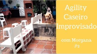 Agility Caseiro Improvisado Morgana 2 [upl. by Jan]