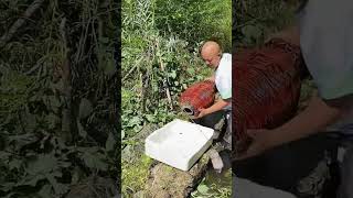 Bamboo cage trap ffish catching process Good tools and machinery can increase work efficiency [upl. by Siurad]