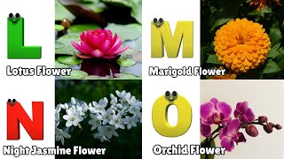 Flowers ABC Song  Flowers Alphabet Song  Phonics for Kids  English Alphabet Letters [upl. by Pollock865]