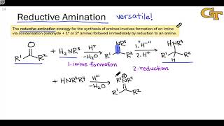 0910 Reductive Amination [upl. by Mutat]