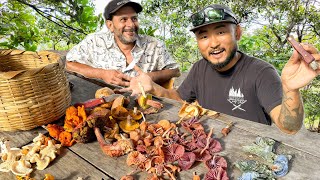 17 Edible Mushrooms I’ve Never Tried Foraging with Expert Mycologist  Nicaragua [upl. by Vander]