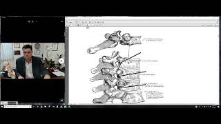 How to Read Your MRI Report Explanation of Herniated Disc [upl. by Barret503]