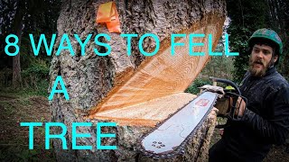 WORLDS BEST TREE FELLING TUTORIAL Way more information than you ever wanted on how to fell a tree [upl. by Alysia82]