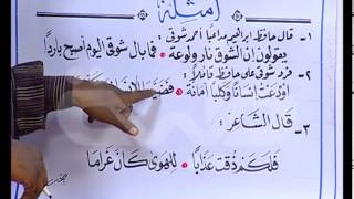 قناة طيبة الفضائيةاللغة العربيةالبلاغةالجناسح9 [upl. by Odlo]