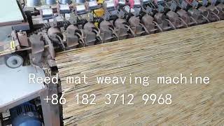 bamboo reed mat weaving machine wicker reed curtain knitting making machine [upl. by Avuha]