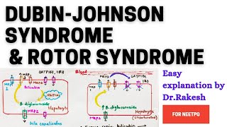 DubinJohnson vs Rotor [upl. by Wojak]