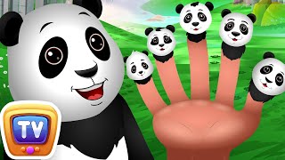 Finger Family Panda Song  Kids Songs and Learning Videos  ChuChu TV Classics kidssongs [upl. by Acinom]