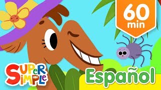 ¡Vamos Animales Vamos Y Más Canciones Infantiles  Música Para Niños [upl. by Bradski801]