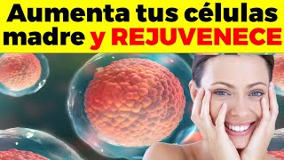 15 formas de aumentar tus CELULAS MADRE naturalmente y REJUVENECER [upl. by Beth]