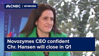 Novozymes CEO is confident its merger with Chr Hansen will close in Q1 [upl. by Ynnoj]