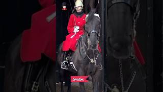 Royal Guards And Their Royal Horses  London Tourists  London  Kings Man’s Horse shorts [upl. by Ennirak]