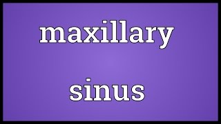 Maxillary sinus Meaning [upl. by Annek551]