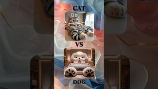 CAT VS DOG🐱🐶🐾creativealiah cat dog pets doglover catlover subscribe like shorts [upl. by Zannini]