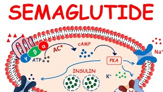 Semaglutide injection  Ozempic for weight loss  Precautions amp side effects [upl. by Airdnaed]