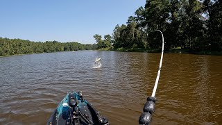 Livescoping Lake Raven  Huntsville Texas [upl. by Trstram347]