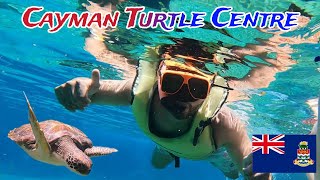 Cayman Islands Turtle Center [upl. by Nevets]